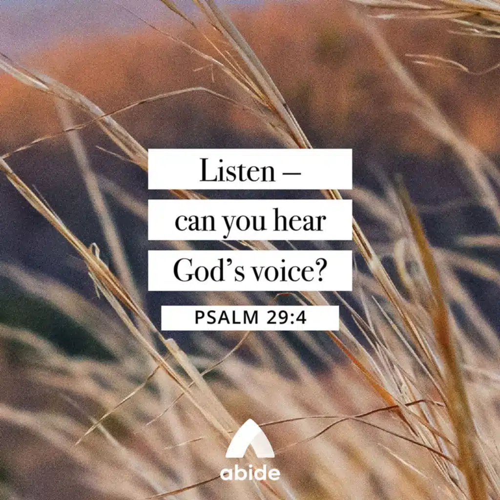 The Voice of the Lord