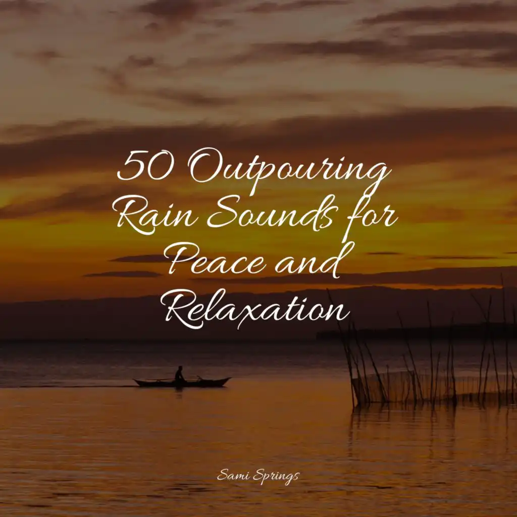 50 Outpouring Rain Sounds for Peace and Relaxation