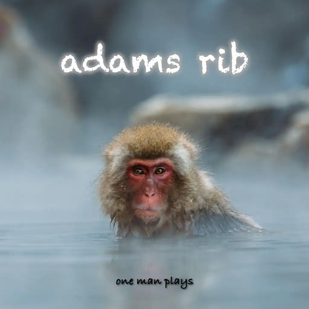 Adams Rib