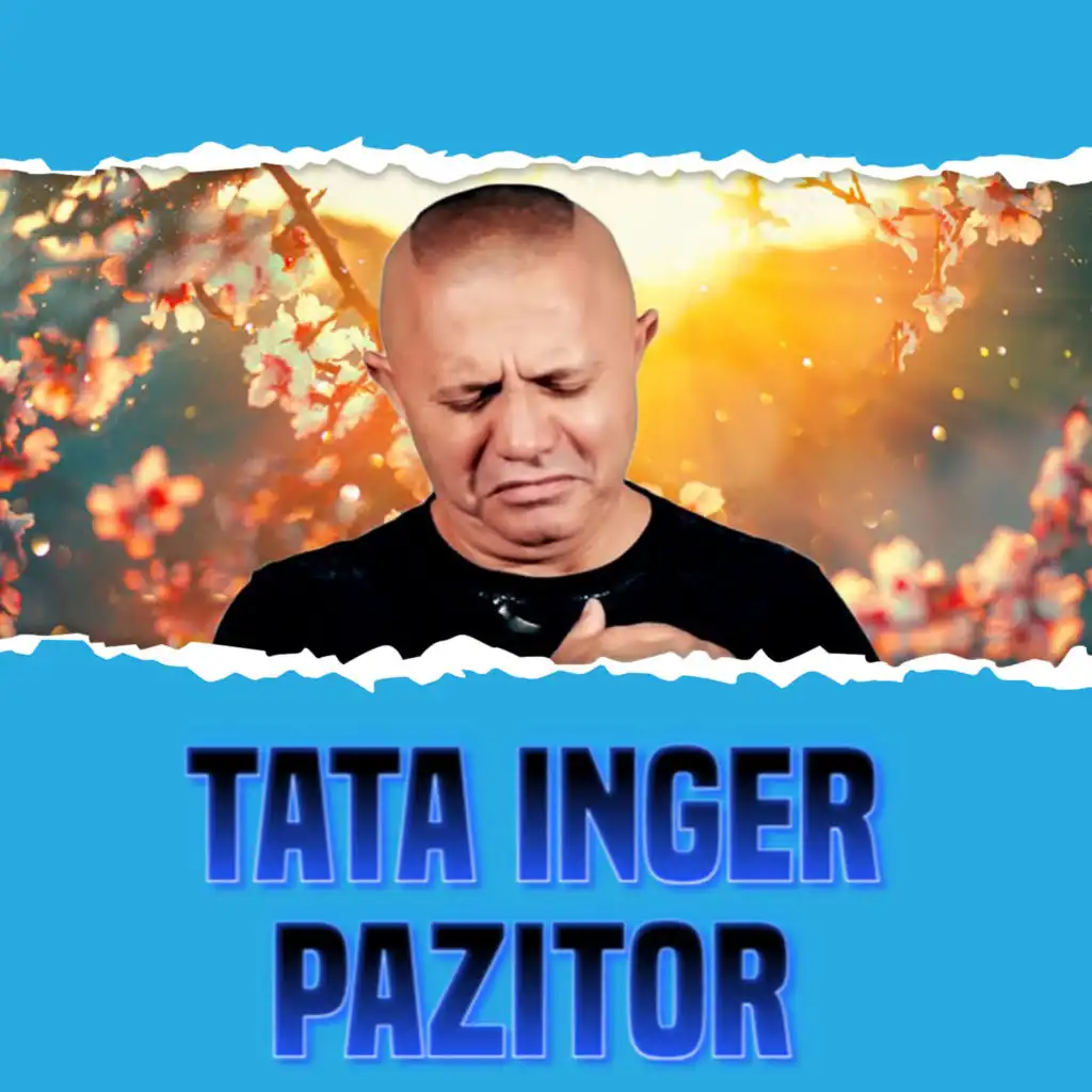 TATA INGER PAZITOR