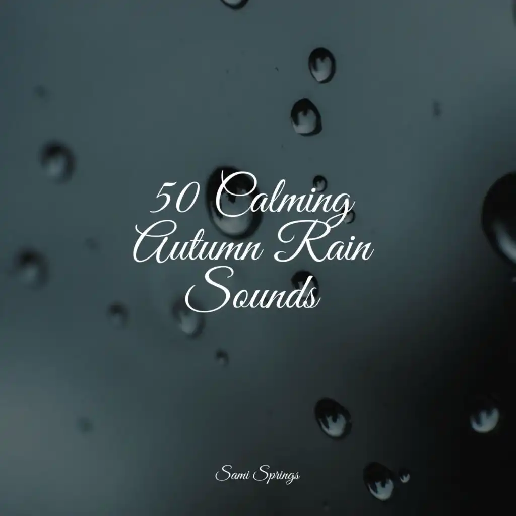 50 Calming Autumn Rain Sounds