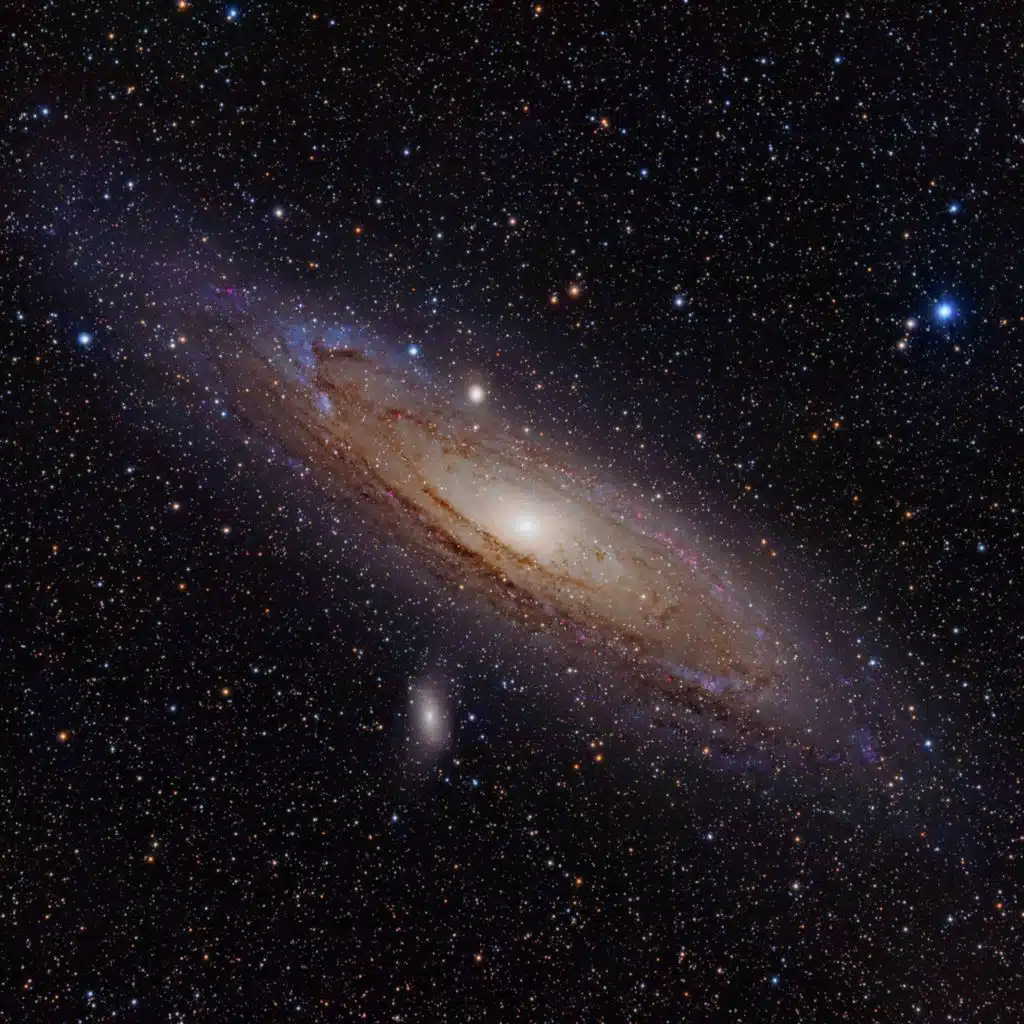 Cosmic Queries - Cream of the Universe Soup