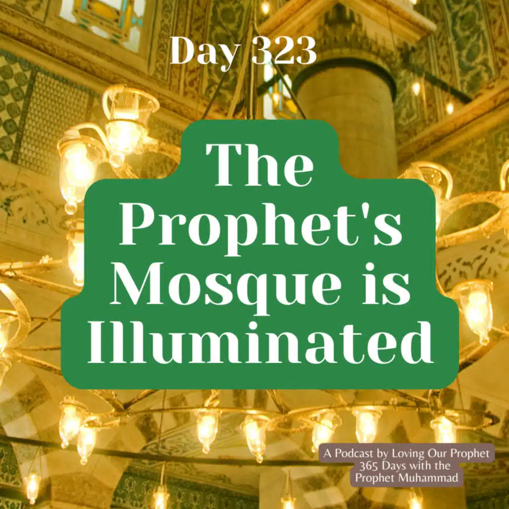 Day 323 - The Prophet's Mosque is Illuminated