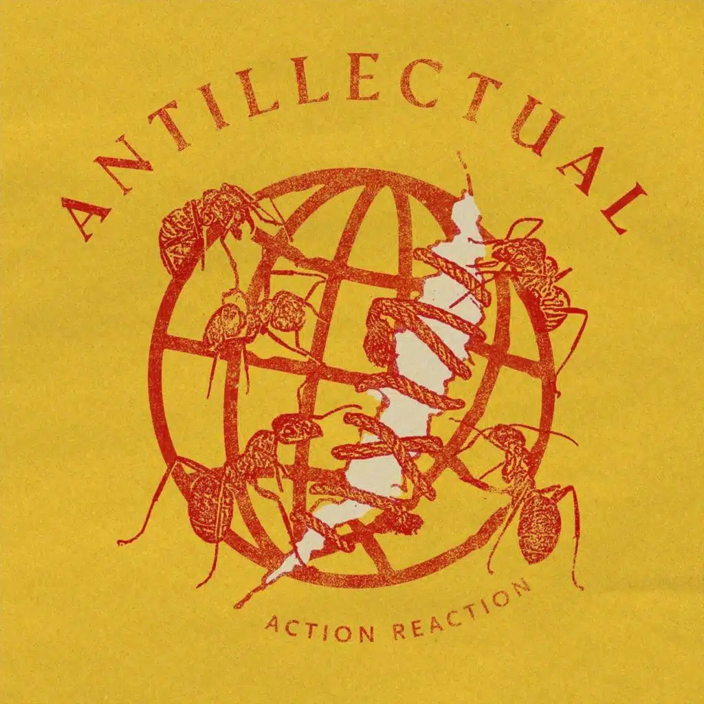 Action Reaction