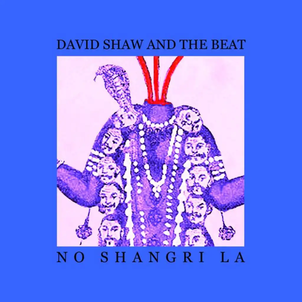 David Shaw And The Beat