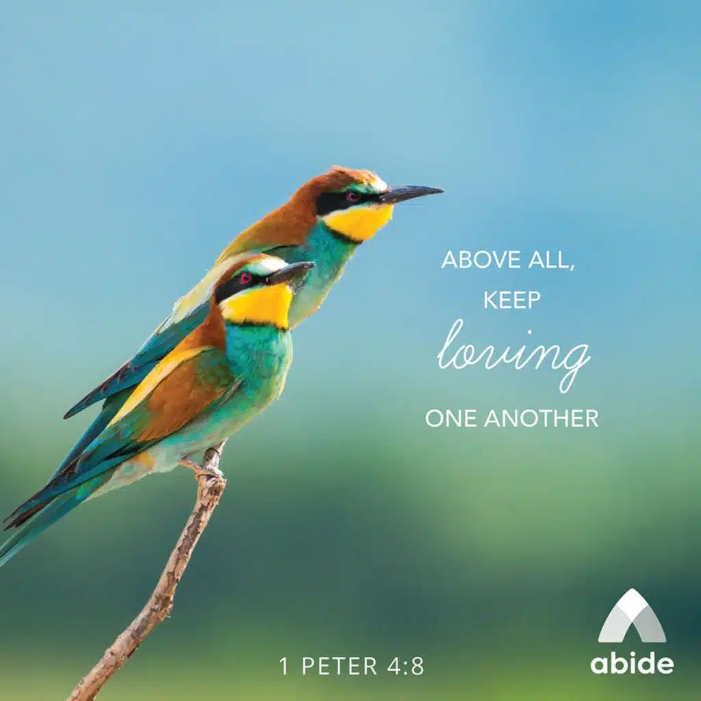 Learning to Love and be Loved