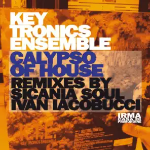 Calypso of House (Ivan Iacobucci Remix)