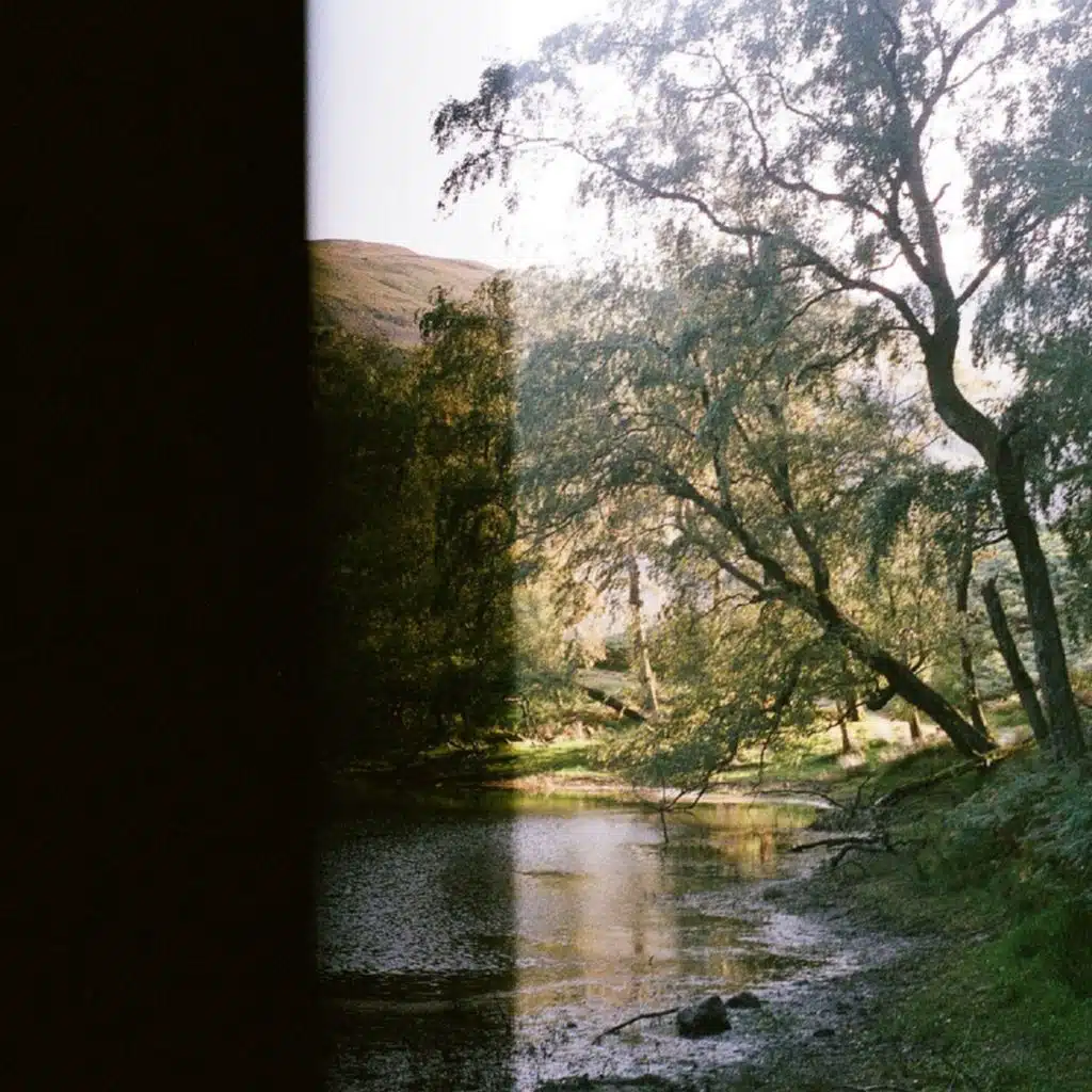 In the Meantime - Forever