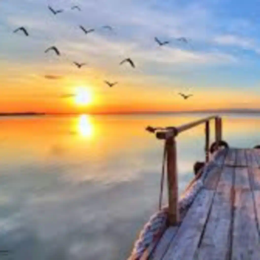 ابتهال اغيب