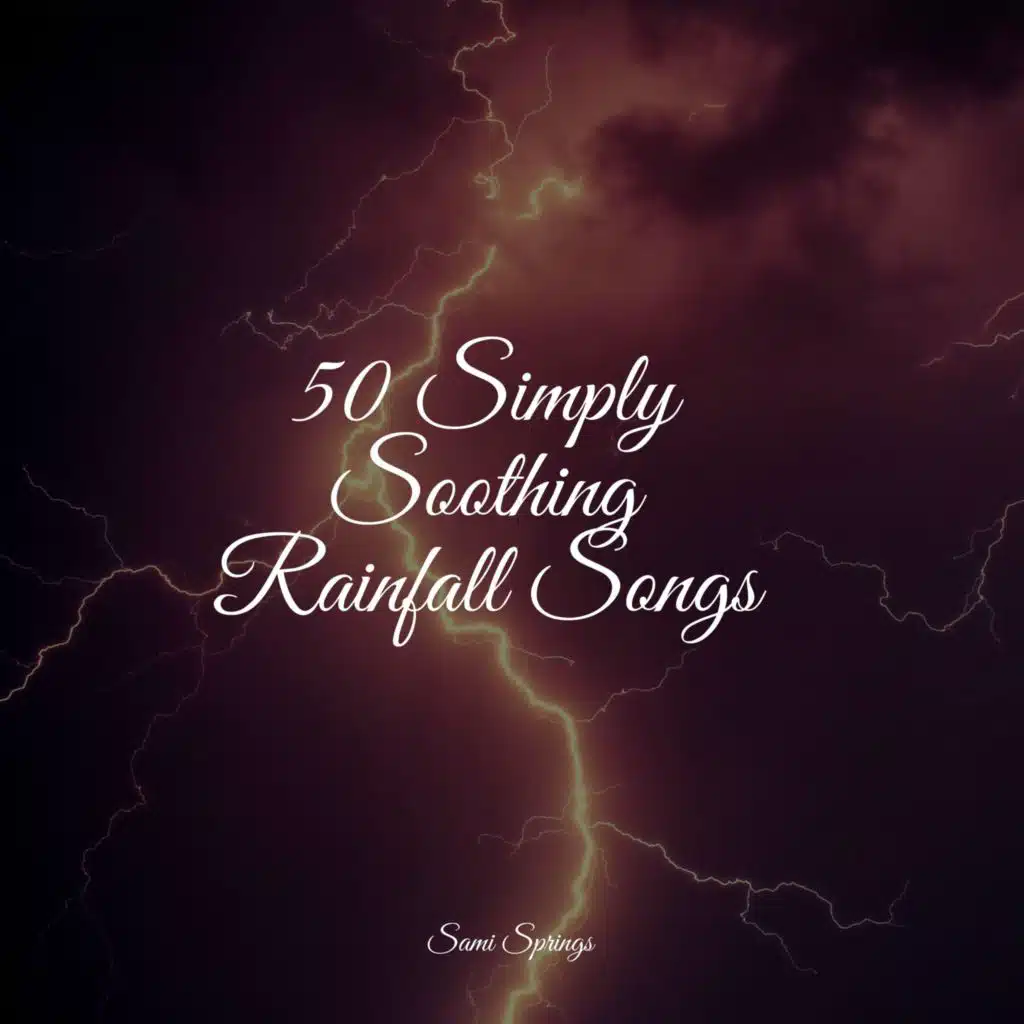 Lake, Water Lapping, Light