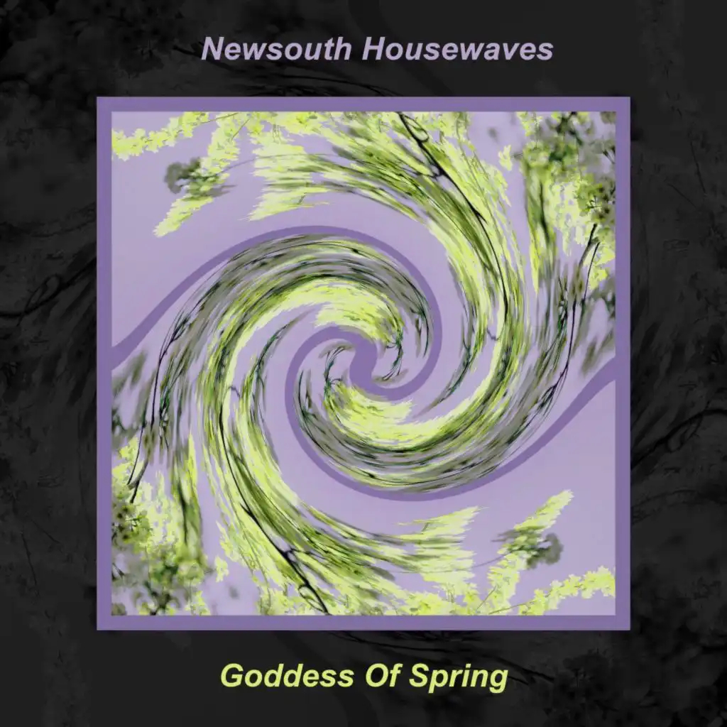 Newsouth Housewaves