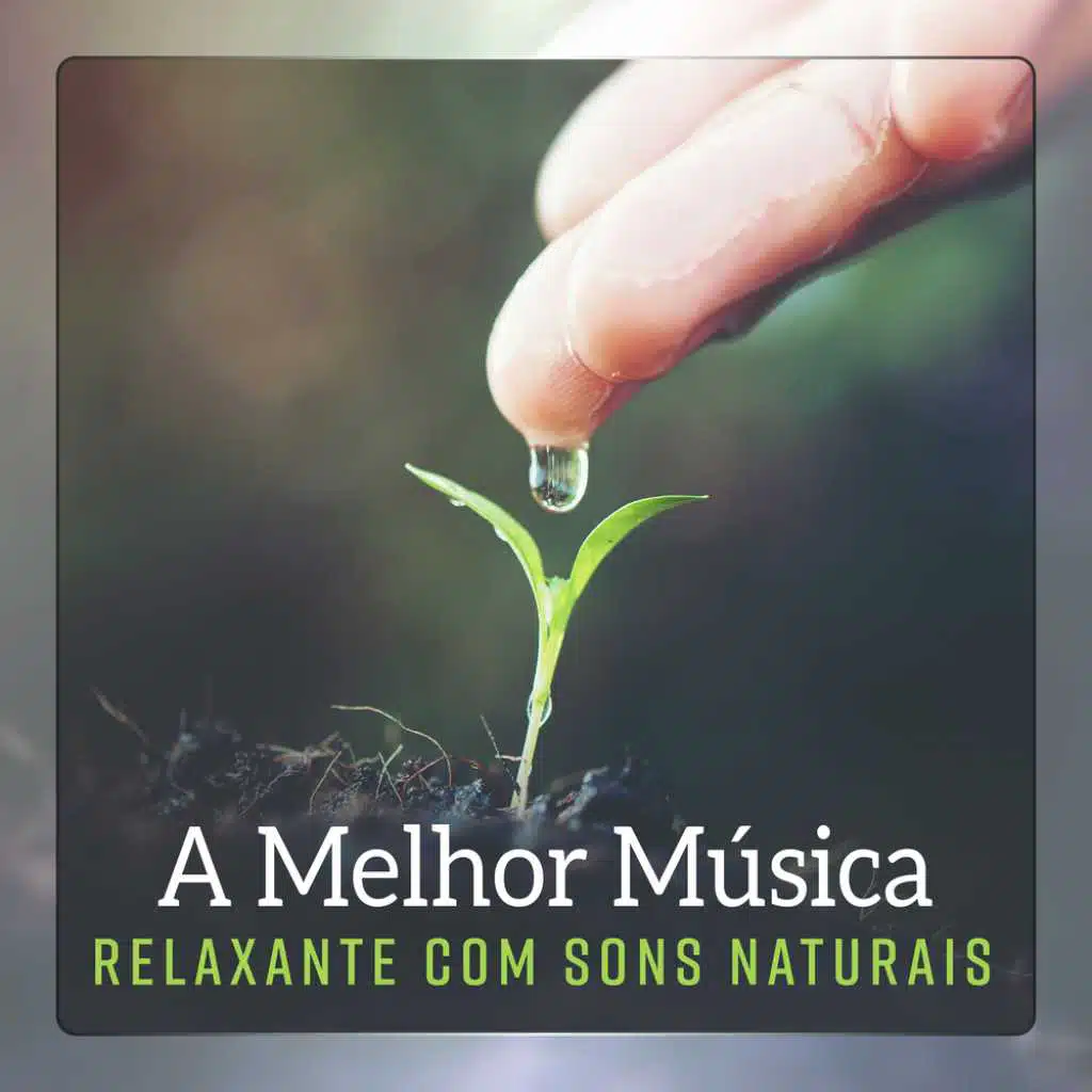 A Melhor Música Relaxante com Sons Naturais, Alívio de Estresse, Terapia de Massagem Zen, Música de Yoga, Meditação de Atenção Completa