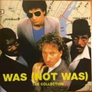 The Collection - Album Version