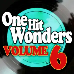One Hit Wonders - Vol. 6