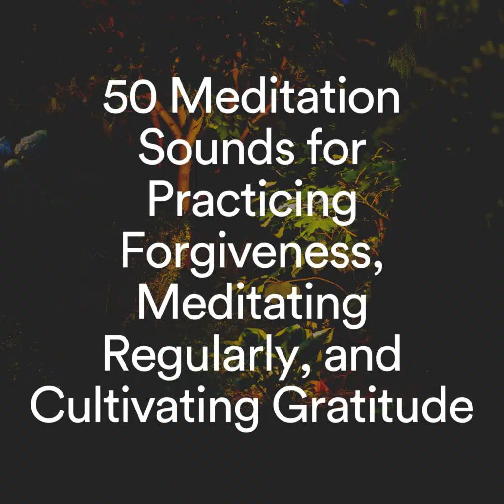 50 Meditation Sounds for Practicing Forgiveness, Meditating Regularly, and Cultivating Gratitude