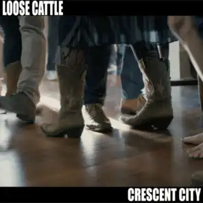 Loose Cattle