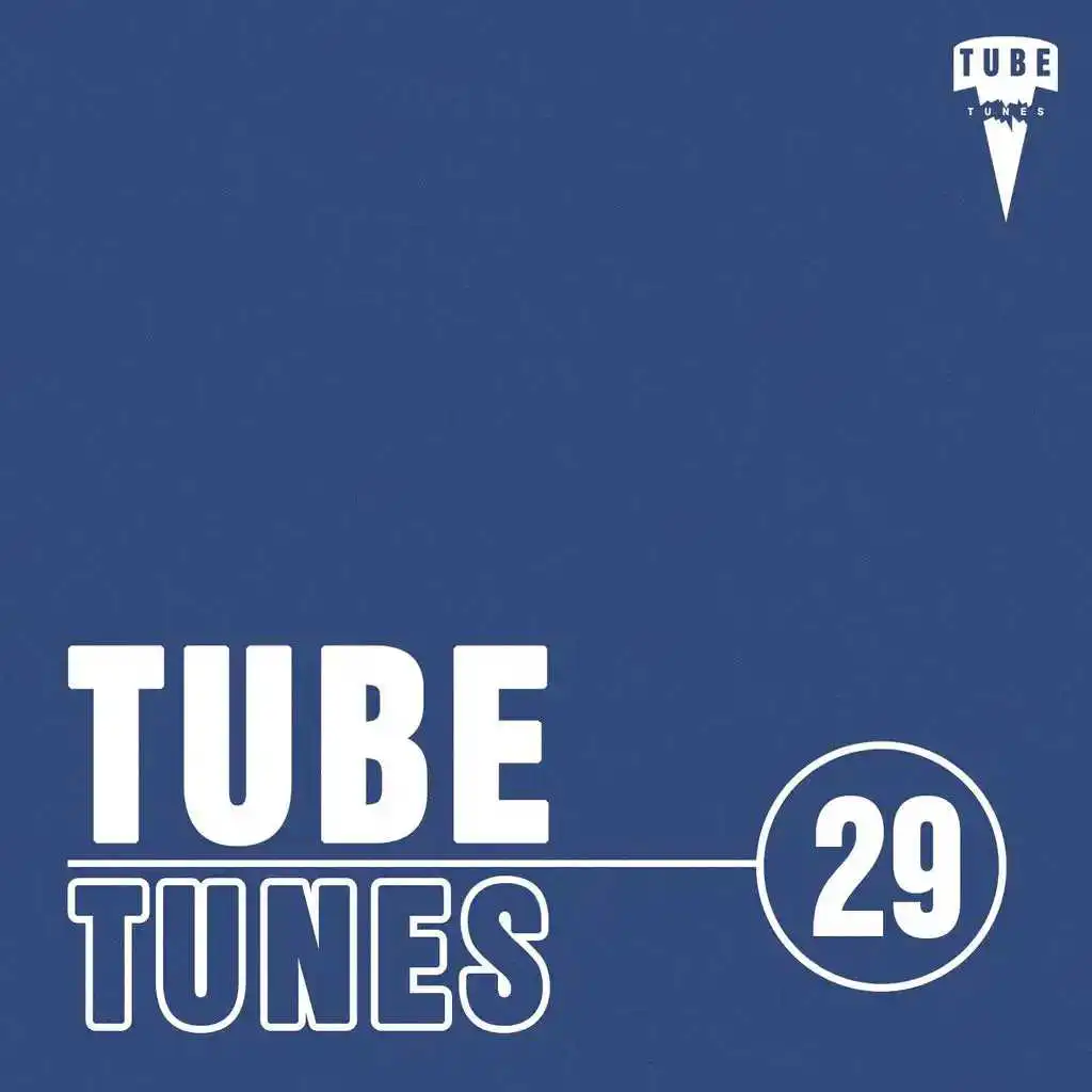 Tube Tunes, Vol.29