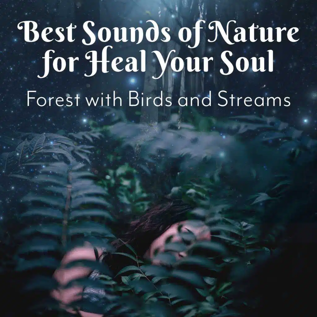 Best Sounds of Nature for Heal Your Soul