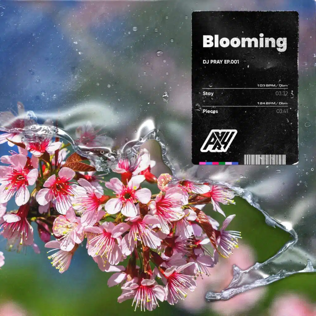 Blooming