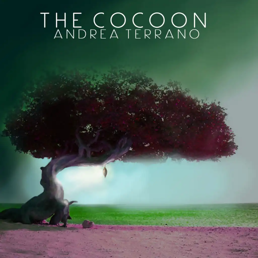 The Cocoon (Unplugged)