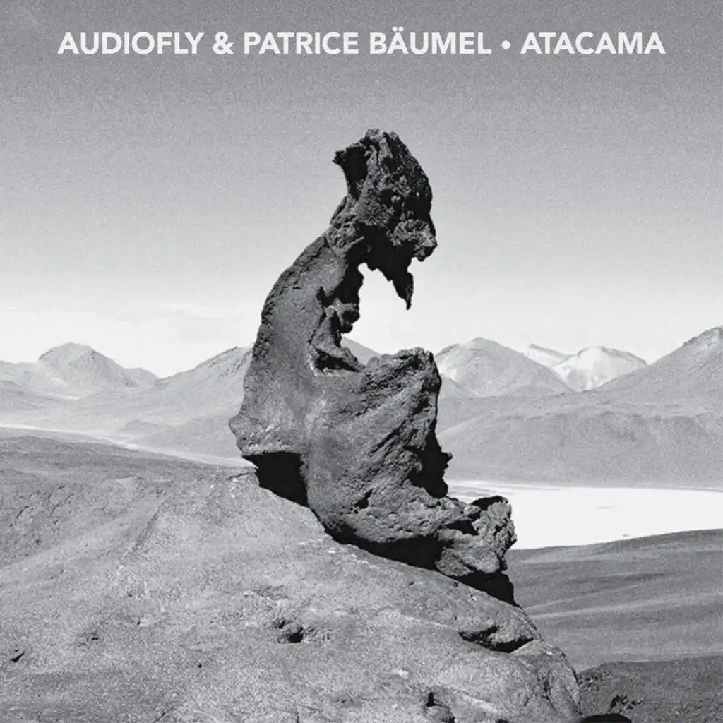 Audiofly & Patrice Bäumel