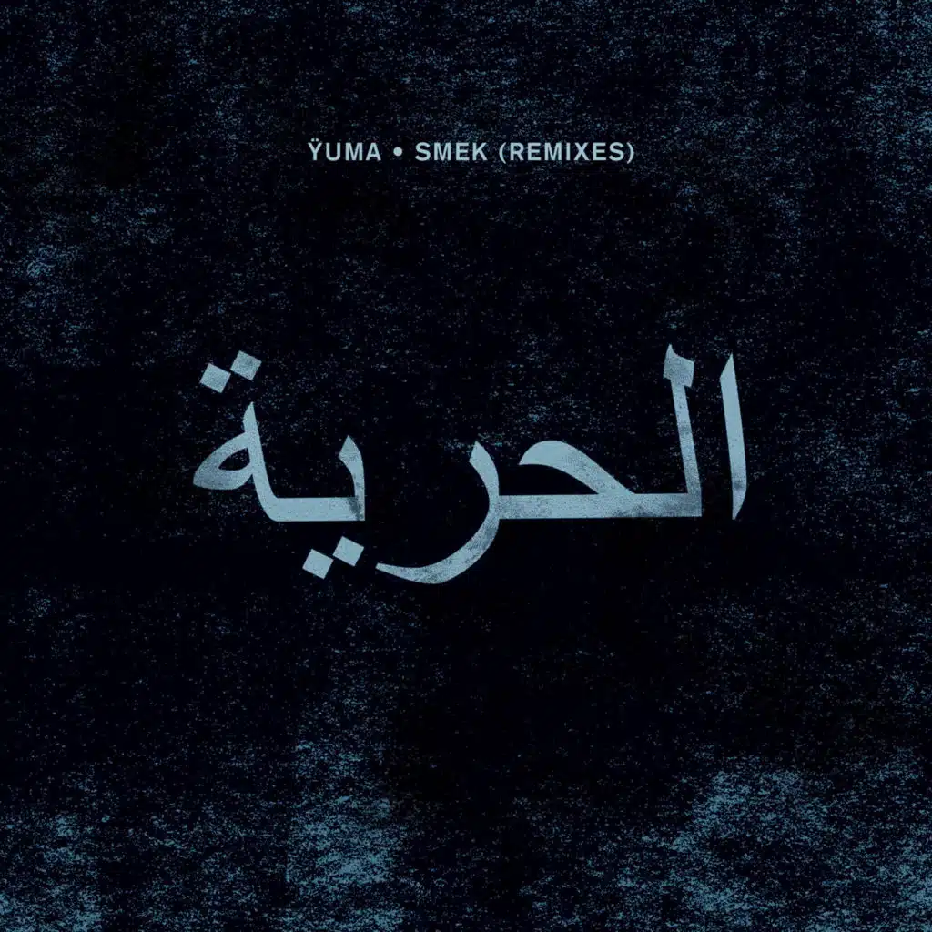 Smek (Sis Remix)