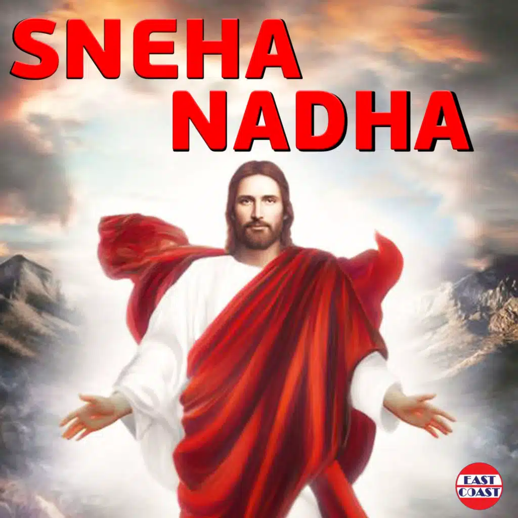 Neela Vana Veedhikal