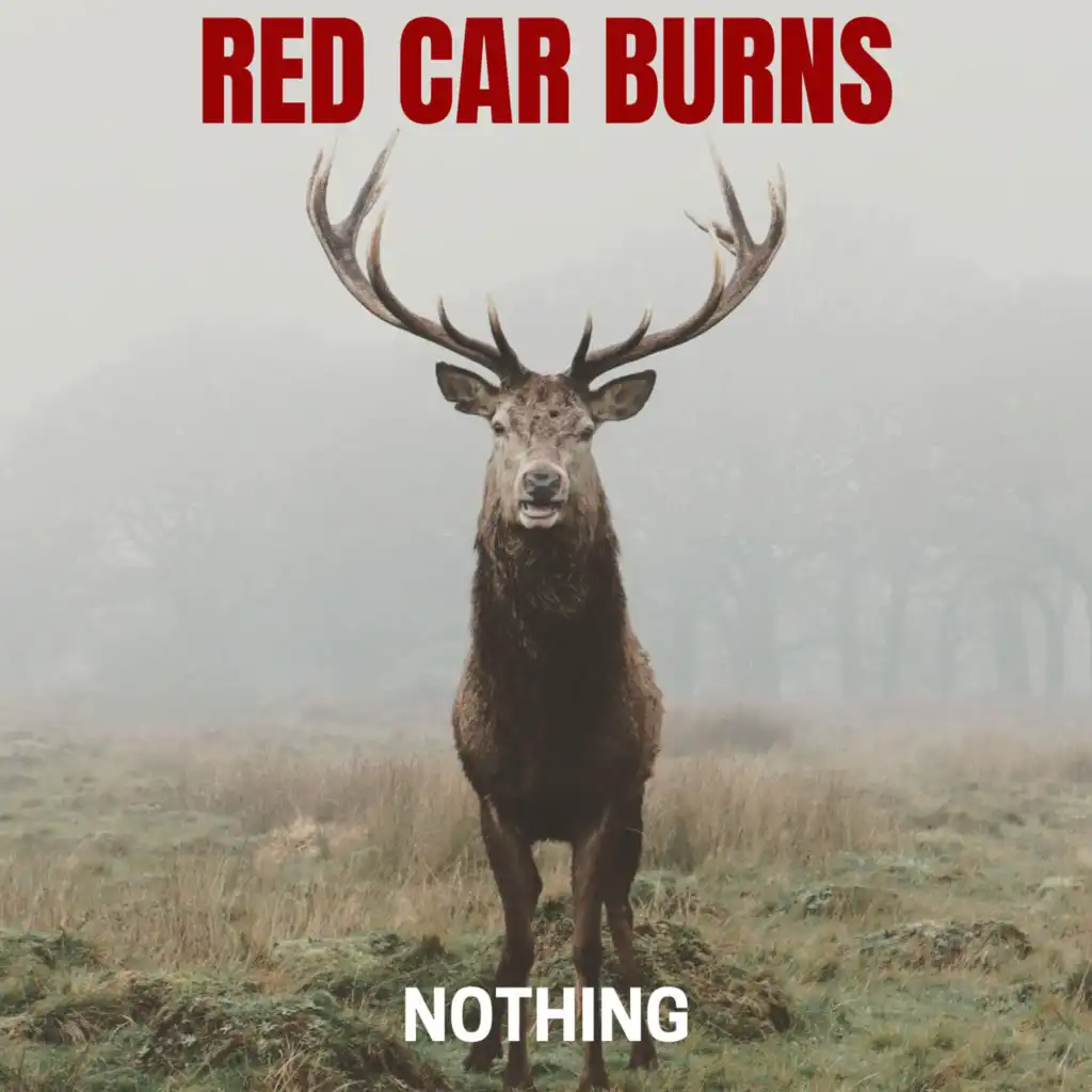 Red Car Burns