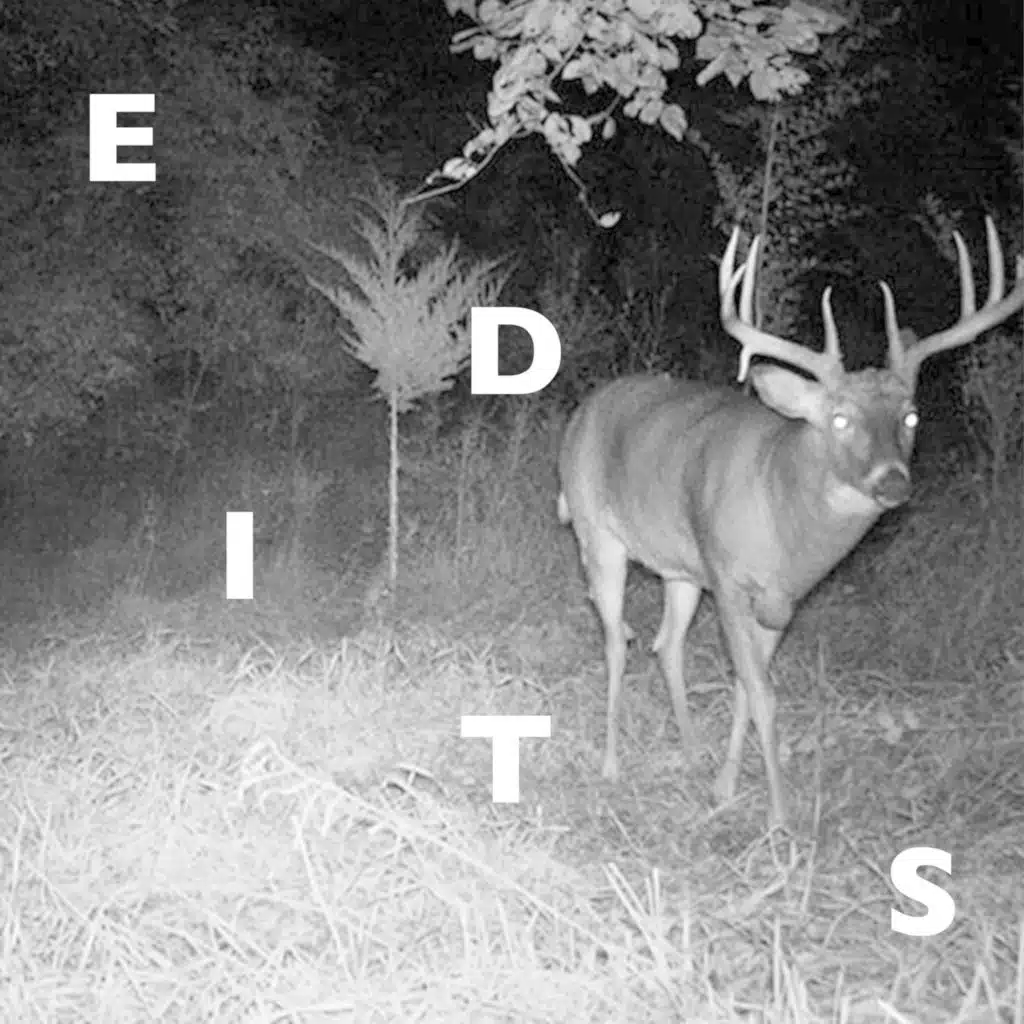 The Artificial Animal Edits