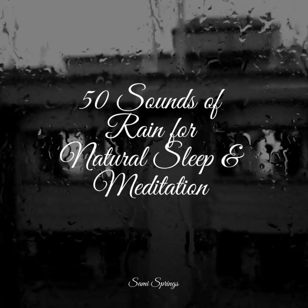 50 Sounds of Rain for Natural Sleep & Meditation