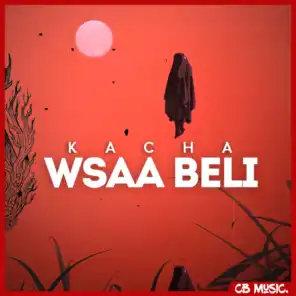 Wsaa Beli (feat. Barako)