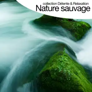 Nature sauvage - Sounds of Nature (Collection détente et relaxation)