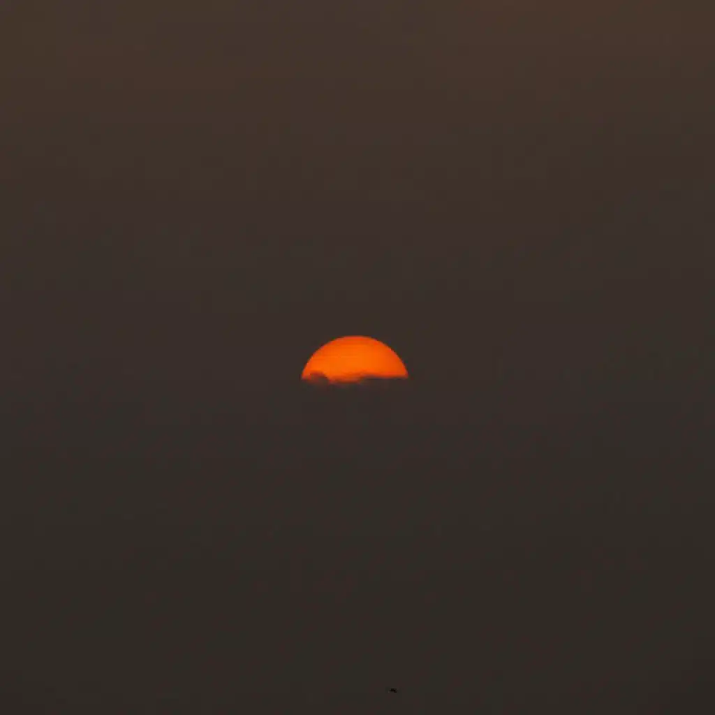 Waiting for Sunshine