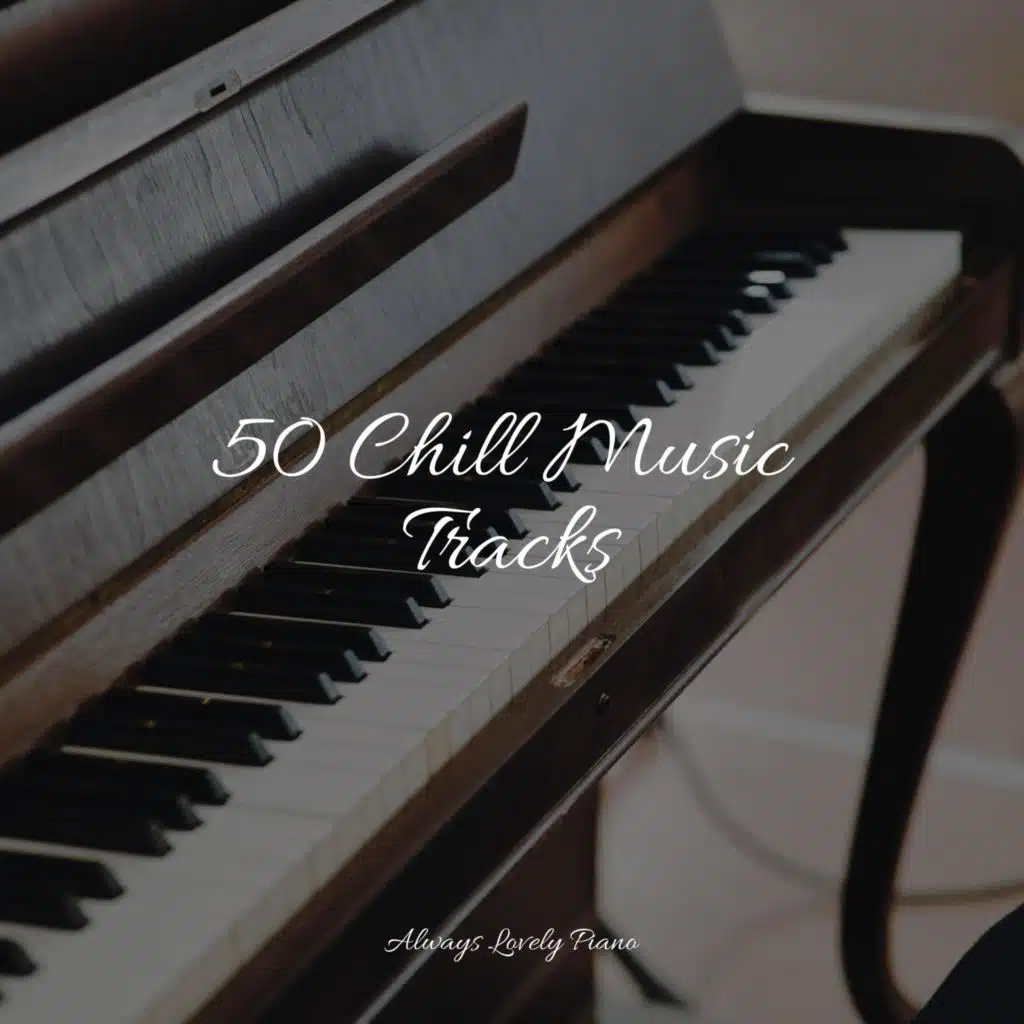 50 Chill Music Tracks
