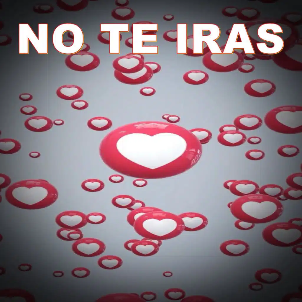 NO TE IRAS