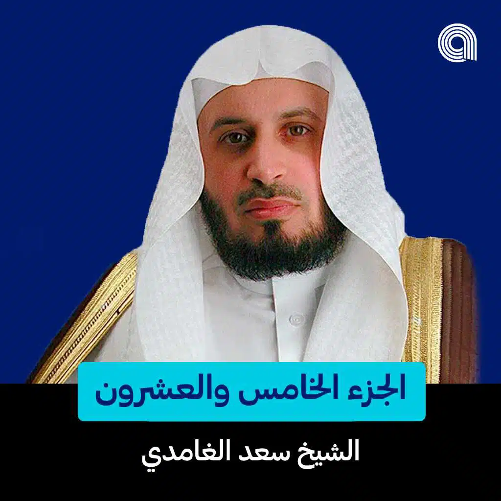 سورة فصّلت - الجزء الثاني