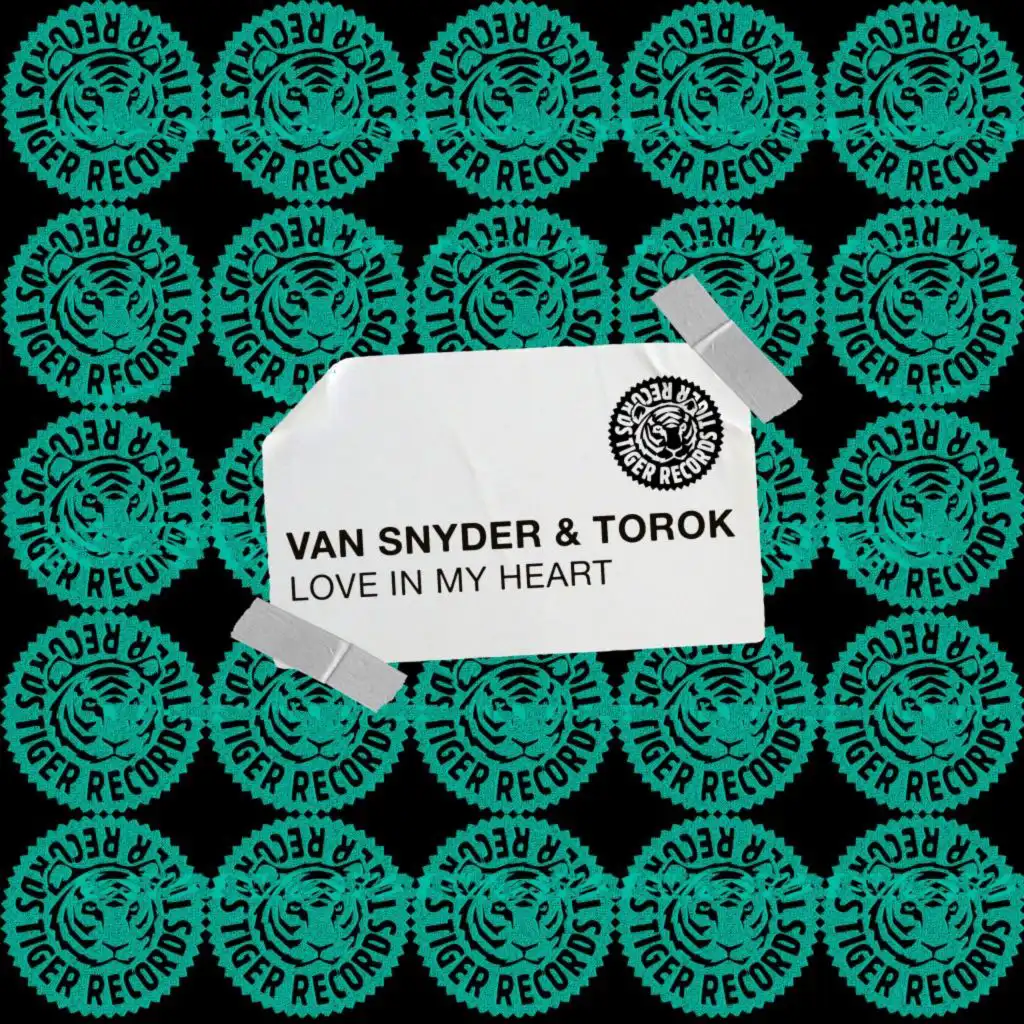 TOROK & Van Snyder