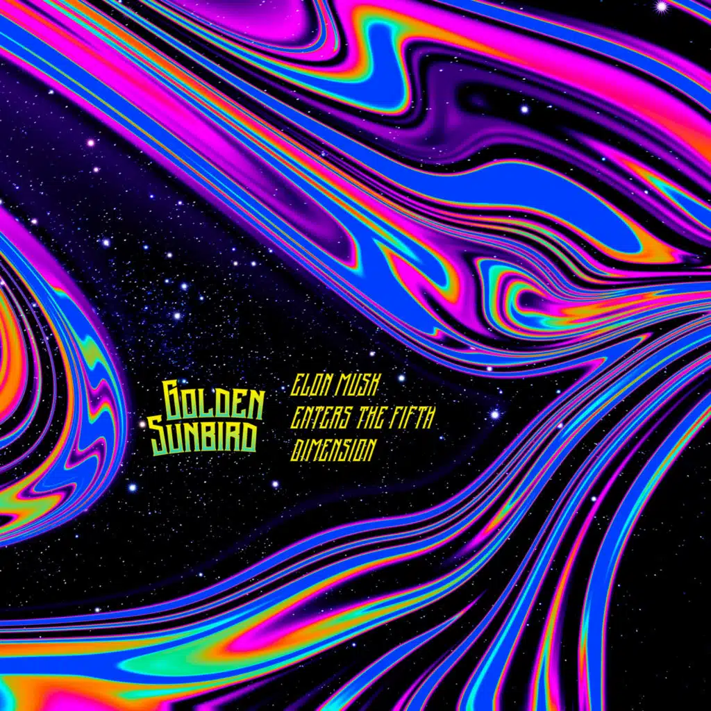 Elon Musk Enters the Fifth Dimension