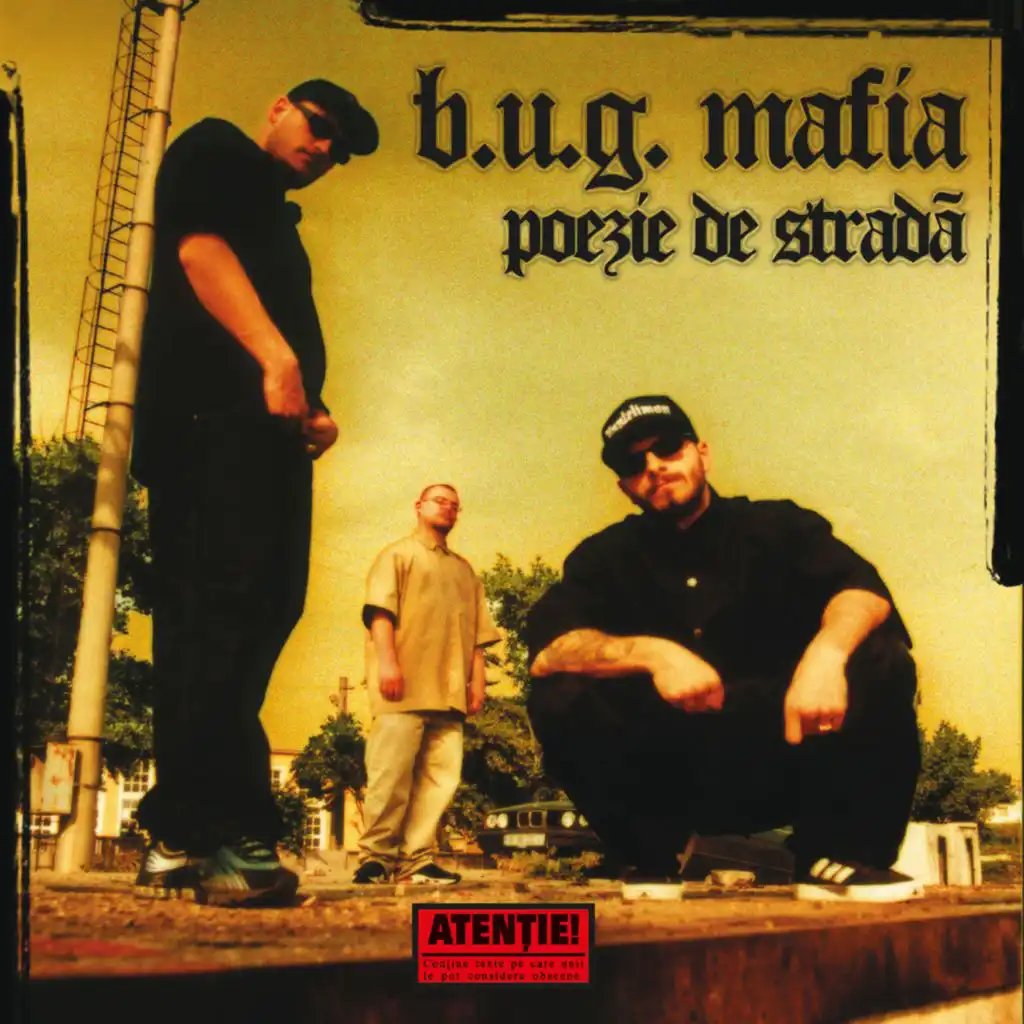 Poezie De Strada (Maxi-Single)