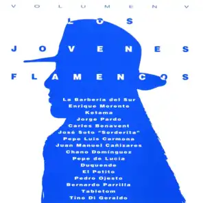 Los Jóvenes Flamencos, Vol. 5