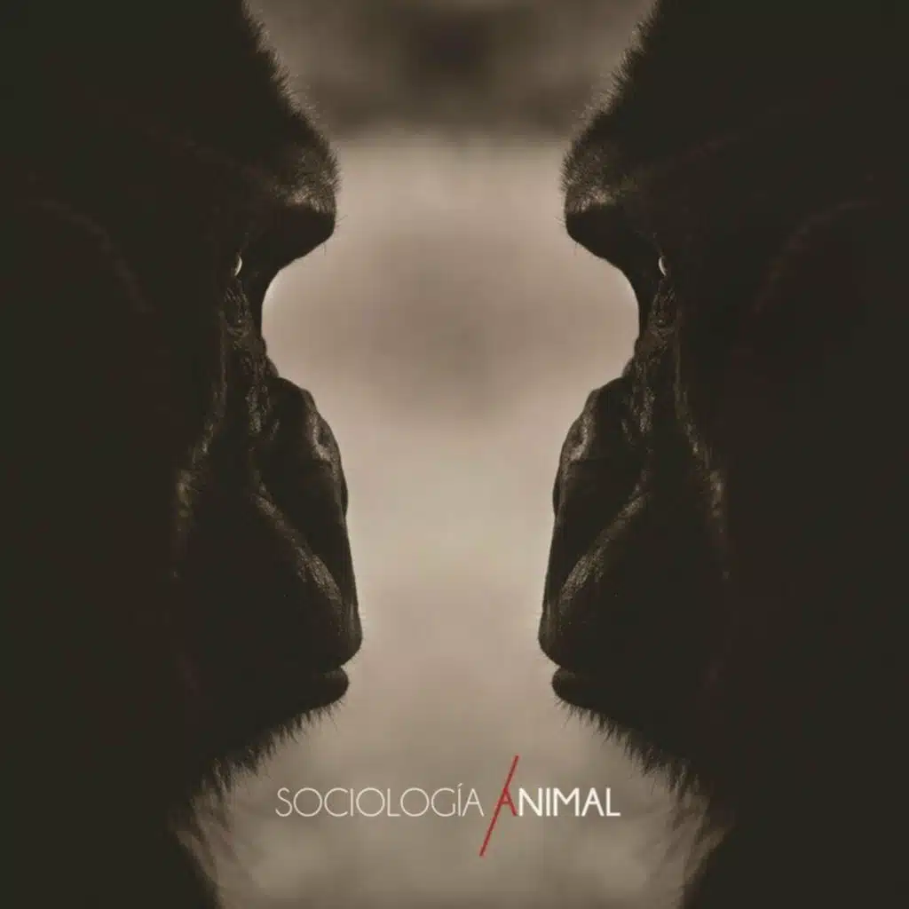 Sociología Animal