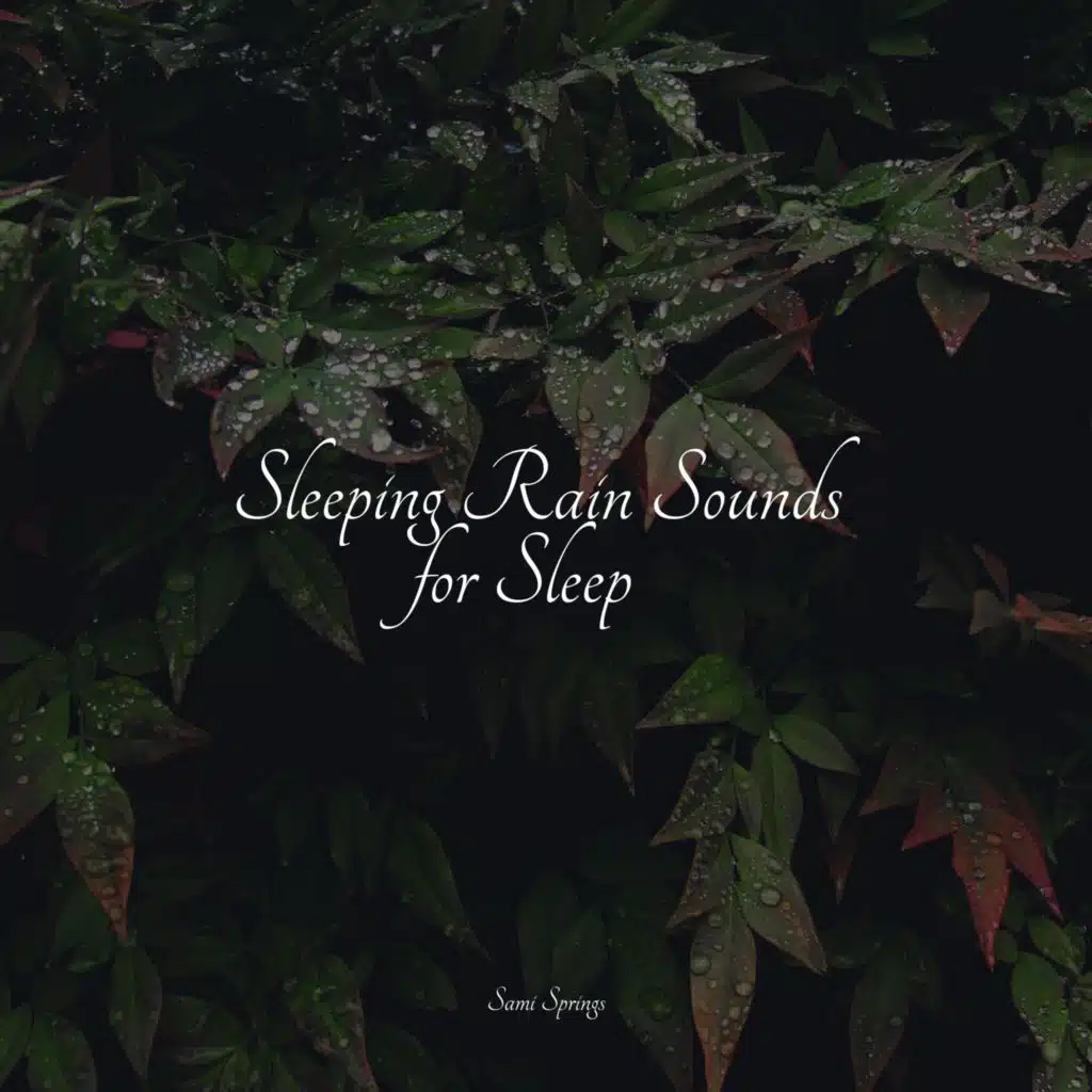 Forest, Cicadas, Light Wind