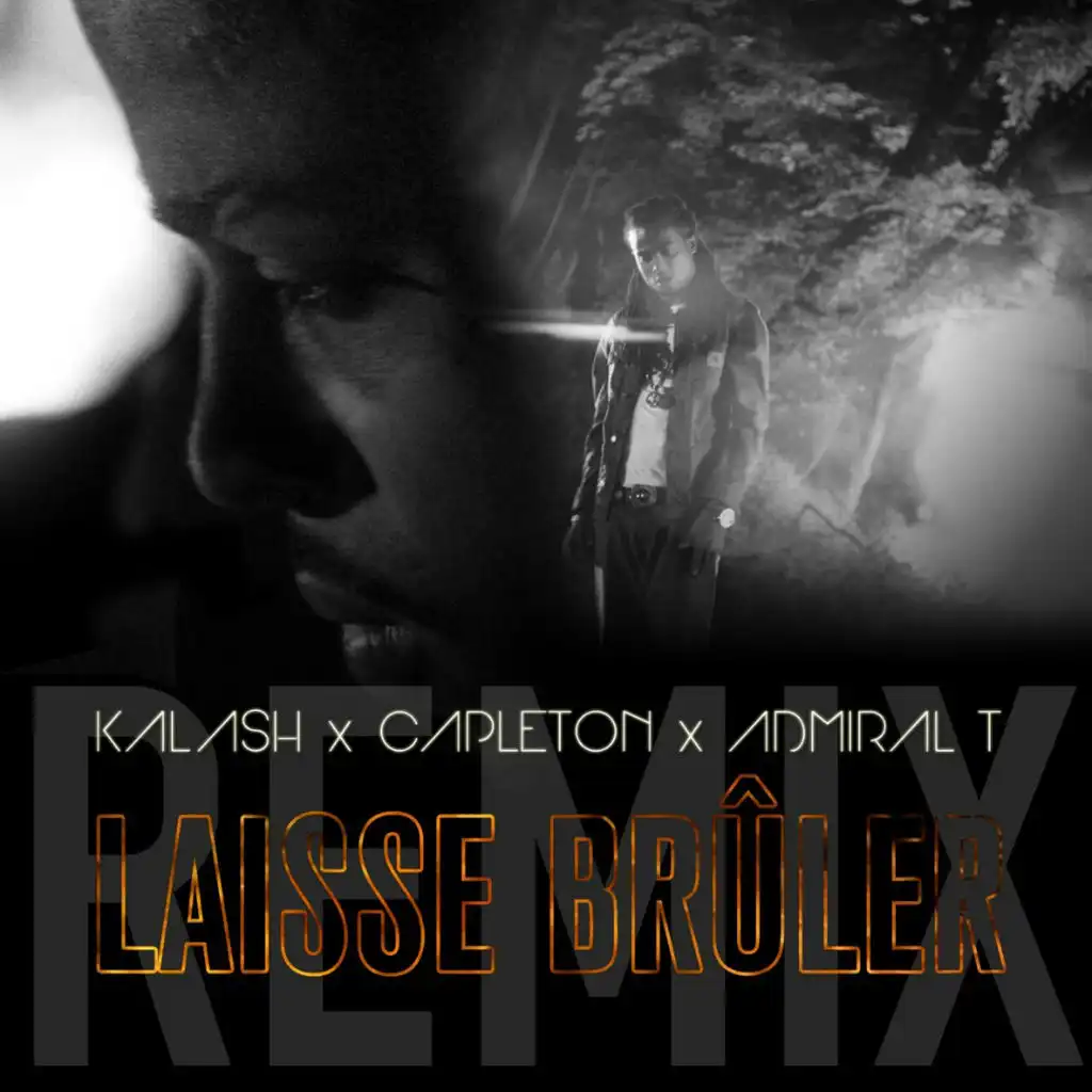 Laisse brûler (Remix) [ft. Capleton & Admiral T]