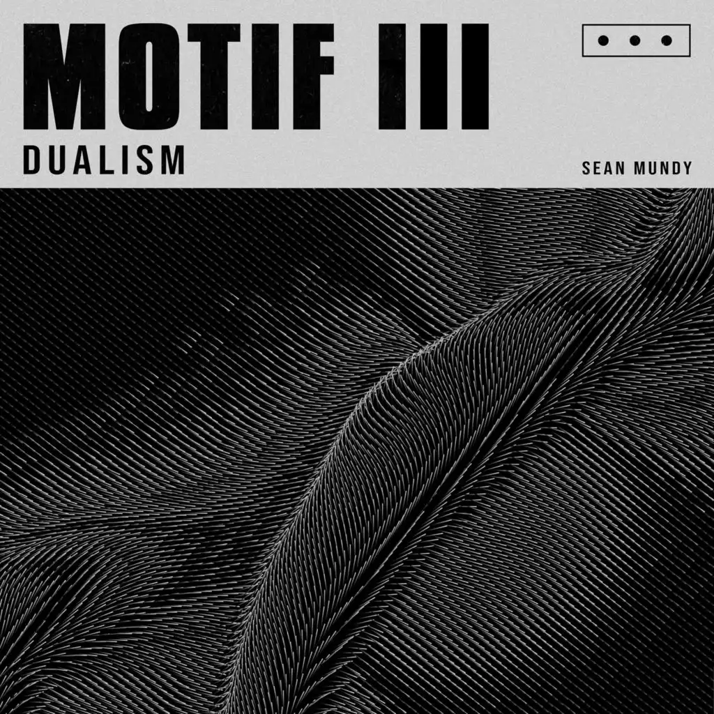 Motif 3 - Dualism