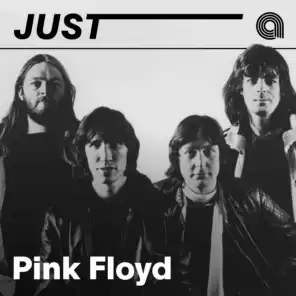 Just Pink Floyd