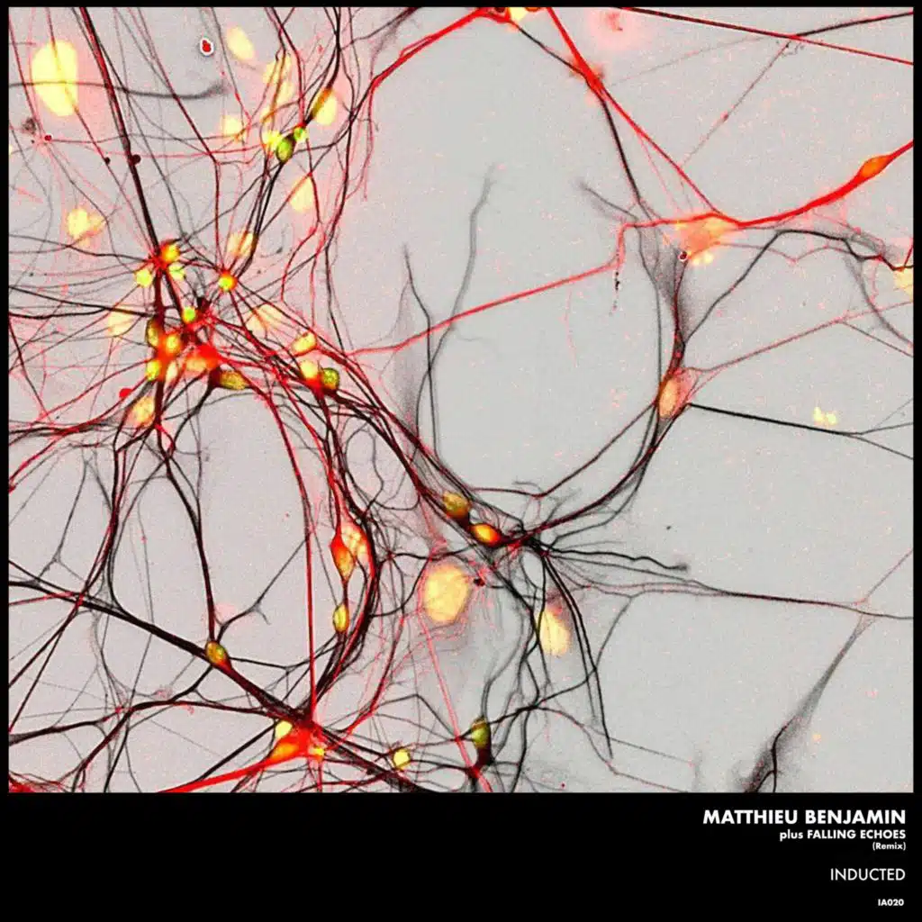 The Sacred And The Profane