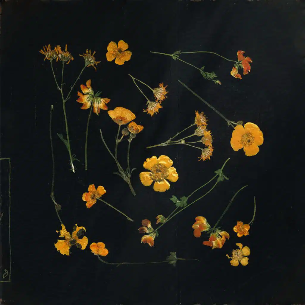 you need to be there for them (edit)