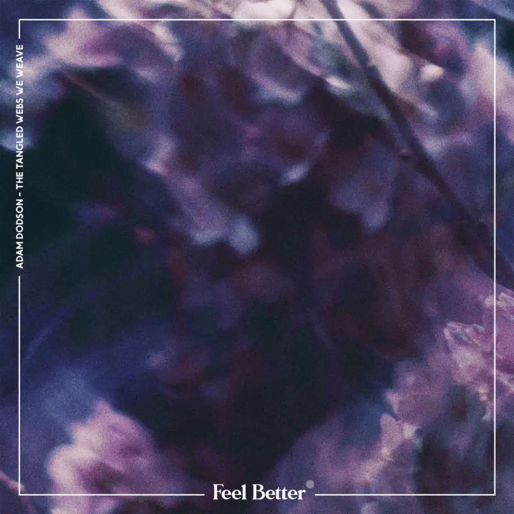 The Tangled Webs We Weave