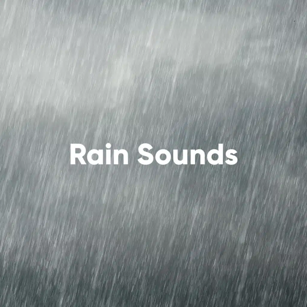 Rain Sounds: The Definitive Collection