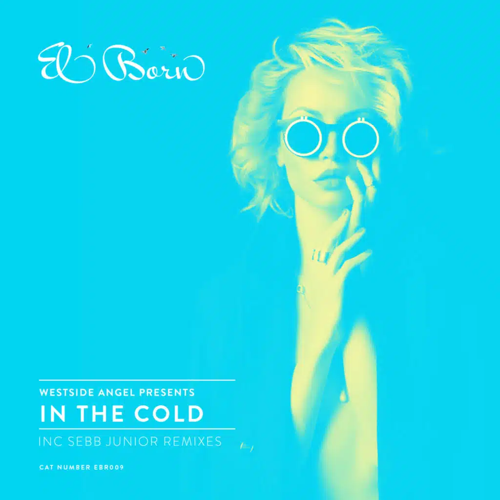 In the Cold (Sebb Junior Instrumental Remix)